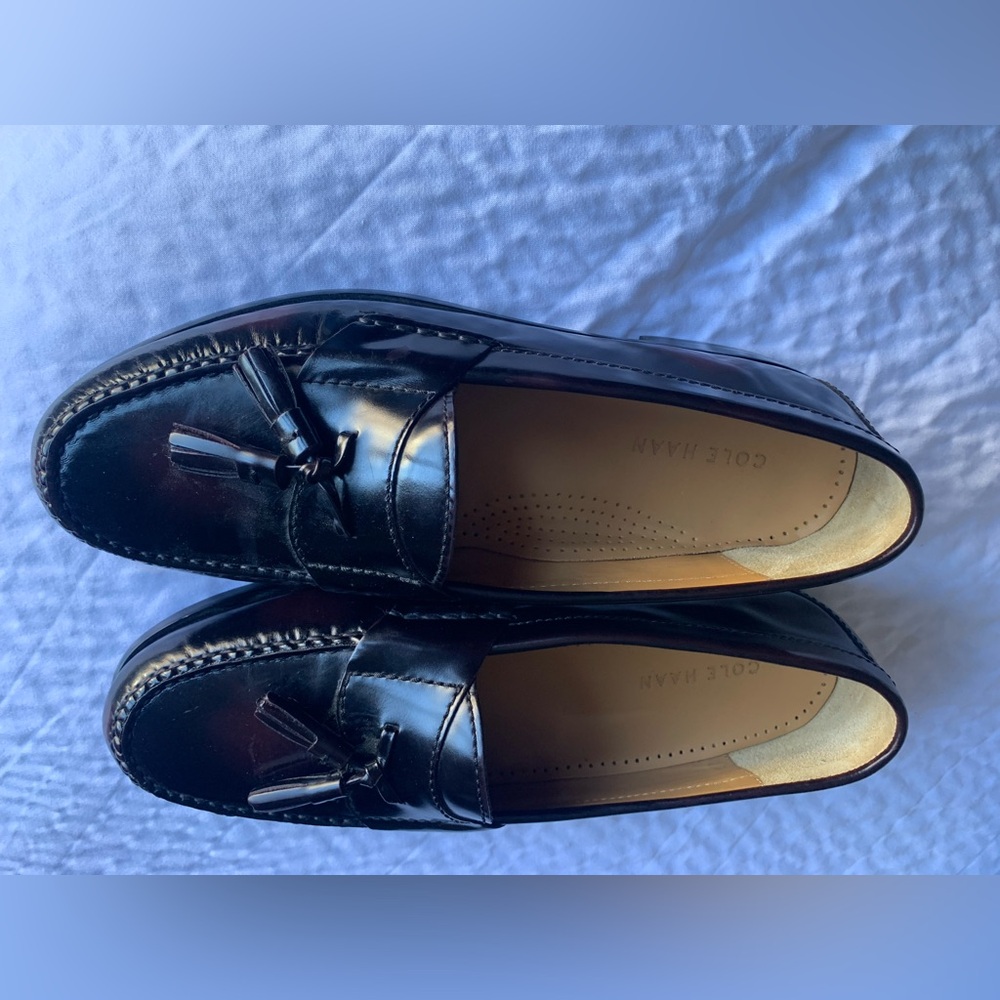 COLE HAAN men’s shoes size 8.5 D , gently worn , rich brown color with tassel